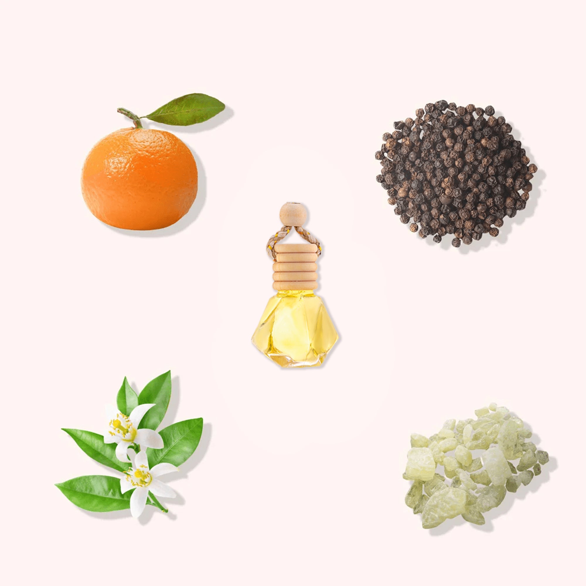 Car Fragrance - Citrus Spice